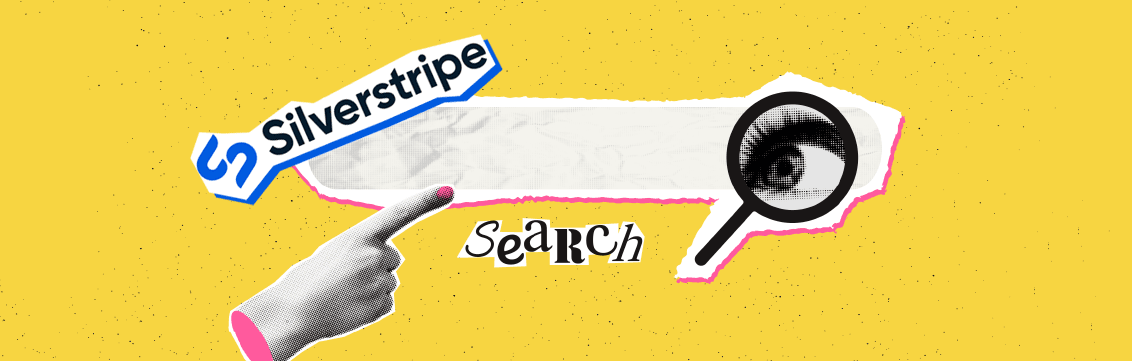 25 03 PS SilverstripePlugin banner